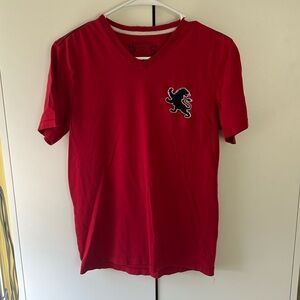 Mens Express v-neck short sleeve